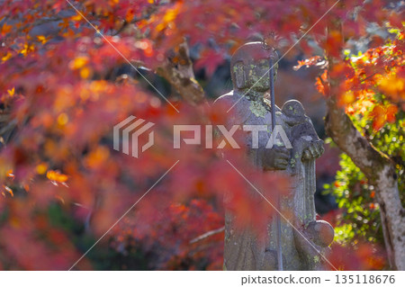 Chogakuji Temple, Compassionate Jizo, Autumn, Autumn Foliage Season Chogakuji Temple, Compassionate Jizo, Autumn, Autumn Foliage Season 135118676