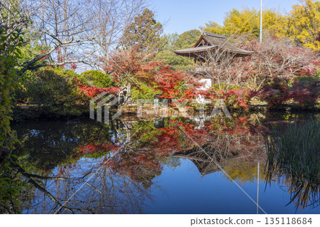 Chogakuji Temple - Tower gate reflected in Hojo Pond - Autumn - Autumn foliage season Chogakuji Temple - Tower gate reflected in Hojo Pond - Autumn - Autumn foliage season 135118684