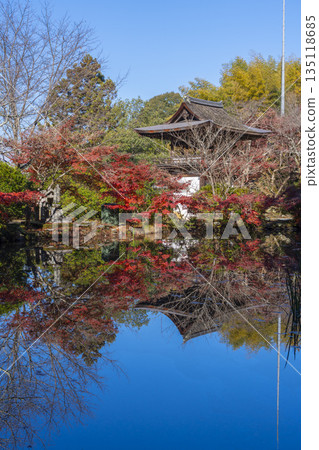 Chogakuji Temple - Tower gate reflected in Hojo Pond - Autumn - Autumn foliage season Chogakuji Temple - Tower gate reflected in Hojo Pond - Autumn - Autumn foliage season 135118685