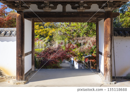 Chogakuji Temple Tower Gate Autumn Foliage Season Chogakuji Temple Tower Gate Autumn Foliage Season 135118688