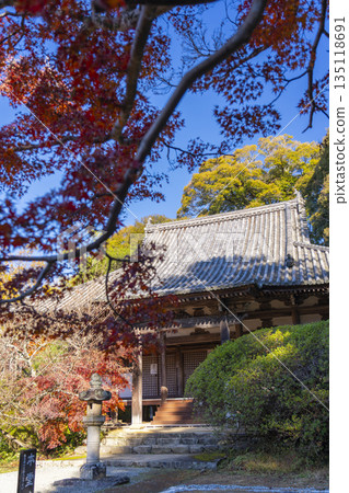 Chogakuji Temple Main Hall Autumn Foliage Season 135118691
