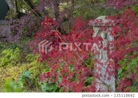 長岳寺石佛秋色 135118692