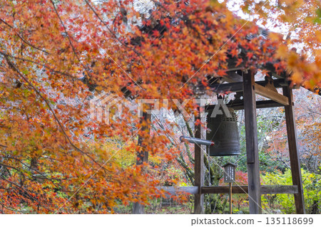 長岳寺鐘樓秋葉季 135118699