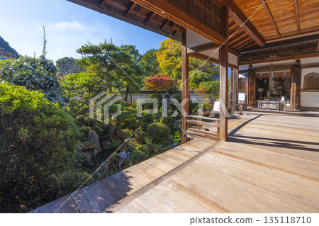 Chogakuji Temple: Japanese garden viewed from the former Jizoin Temple in autumn 135118710