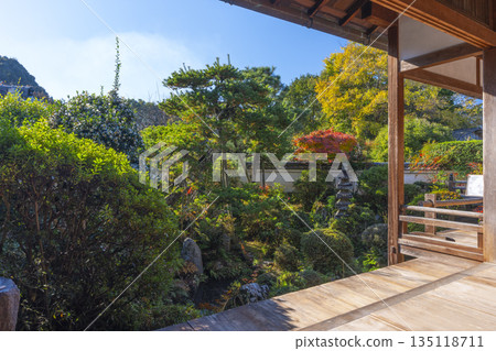 Chogakuji Temple: Japanese garden viewed from the former Jizoin Temple in autumn 135118711