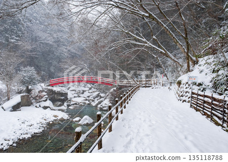 湯森谷（冬季）：紅葉橋 135118788