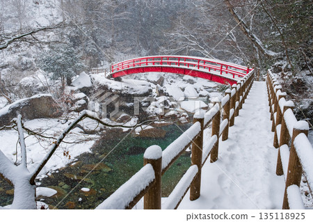 Yumori Valley (Winter): Momiji Bridge 135118925