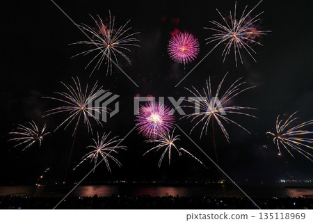 Tsuruga Fireworks 135118969