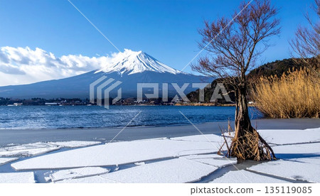 [AI-generated image] Thin ice floating on a winter lake and the beautiful Mount Fuji 135119085