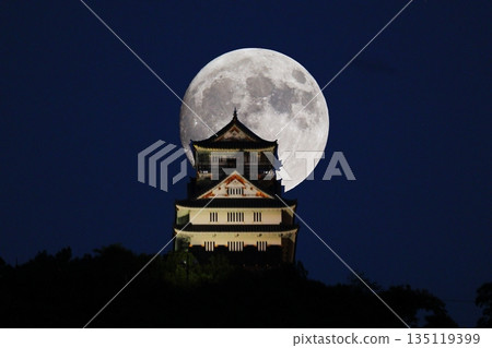 岐阜城和滿月 岐阜城和滿月 135119399