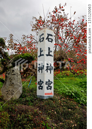 奈良縣天理市磯之神神社的神社導覽牌和石碑 奈良縣天理市磯之神神社的神社導覽牌和石碑 135120063