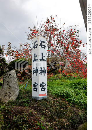 奈良縣天理市磯之神神社的神社導覽牌和石碑 135120064