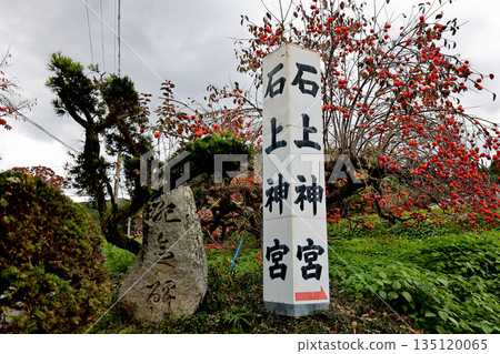奈良縣天理市磯之神神社的神社導覽牌和石碑 奈良縣天理市磯之神神社的神社導覽牌和石碑 135120065