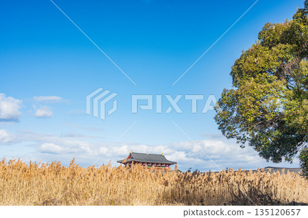 平城宮遺址國家歷史公園，第一大極殿，奈良市 135120657