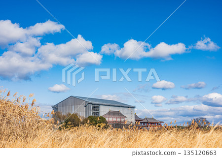 平城宮歷史公園，大極殿南門首次修復工程，奈良市 135120663