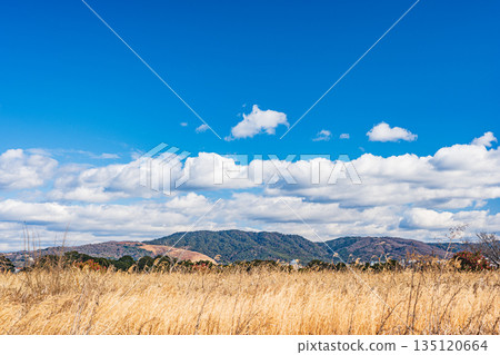 從奈良市平城宮遺址公園眺望若草山 135120664