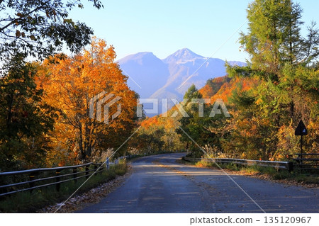Autumn in Urabandai: Mount Bandai seen from Bandai-Azuma Lake Line / Kitashiobara Village, Yama District, Fukushima Prefecture 135120967