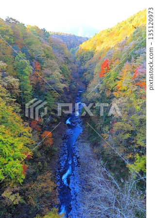 福島縣山郡中津川溪谷 / 北鹽原村 福島縣山郡中津川溪谷 / 北鹽原村 135120973