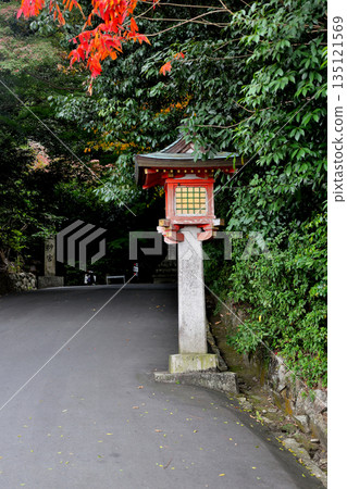 Lanterns at Isonokami Shrine 135121569
