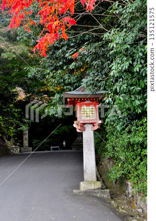 Lanterns at Isonokami Shrine Lanterns at Isonokami Shrine 135121575
