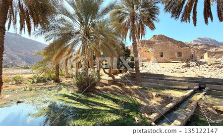 Beautiful Lush Retreat Surrounded By Abundant Trees, Serene Tropical Hideaway Nestled Among Vibrant And Thriving Flora, Idyllic And Peaceful Farmland Set Amidst Lively Backdrop Of Greenery And Trees 135122147