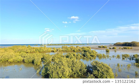 Marshland Habitat Imagery, Reflective Pools With Reed Surroundings, Coastal Wetland Scene With Lush Plant Life, Shallow Tidal Pool Environment Featuring Vibrant Sky Reflections And Dense Vegetation 135122162