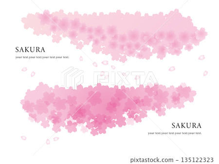 Watercolor style illustration of cherry blossom background material Watercolor style illustration of cherry blossom background material 135122323