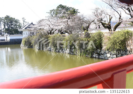 Odawara Castle Fort Park Cherry blossoms Odawara Castle Fort Park Cherry blossoms 135122615