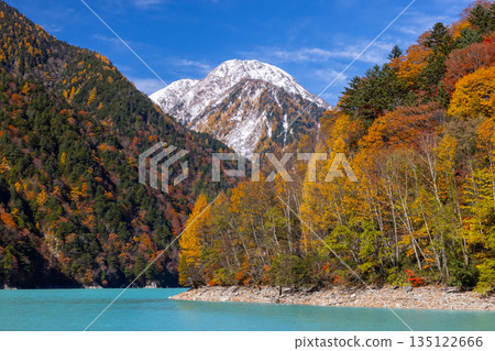 長野縣大町市平良－高瀨水壩調節湖的秋葉呈現出鮮豔的乳藍色，遠處是白雪皚皚的山峰，映襯著蔚藍的天空。 135122666