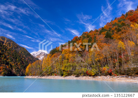 長野縣大町市平良－高瀨水壩調節湖的秋葉呈現出鮮豔的乳藍色，遠處是白雪皚皚的山峰，映襯著蔚藍的天空。 135122667
