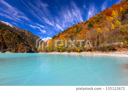 長野縣大町市平良－高瀨水壩調節湖的秋葉呈現出鮮豔的乳藍色，遠處是白雪皚皚的山峰，映襯著蔚藍的天空。 135122672