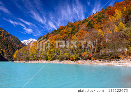 長野縣大町市平良－高瀨水壩調節湖的秋葉呈現出鮮豔的乳藍色，遠處是白雪皚皚的山峰，映襯著蔚藍的天空。 135122673