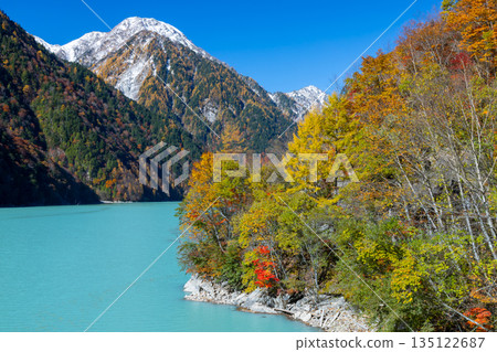 Taira, Omachi City, Nagano Prefecture - The vibrant milky blue autumn leaves of the Takase Dam regulating lake and the snow-capped mountains against the blue sky Taira, Omachi City, Nagano Prefecture - The vibrant milky blue autumn leaves of the Takase Dam regulating lake and the snow-capped mountains against the blue sky 135122687