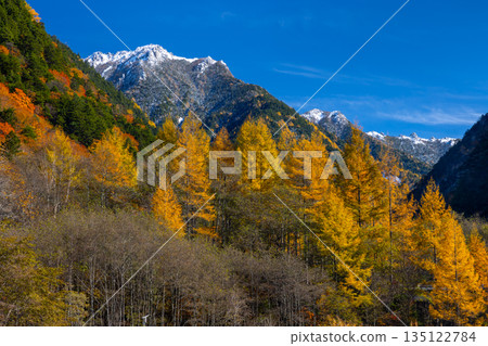 Autumn leaves around the Takase Dam regulating lake and snow-capped mountains against the blue sky in Taira, Omachi City, Nagano Prefecture Autumn leaves around the Takase Dam regulating lake and snow-capped mountains against the blue sky in Taira, Omachi City, Nagano Prefecture 135122784