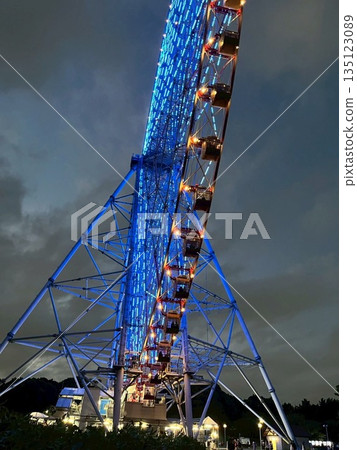 Kasai Rinkai Park night view and Ferris wheel Kasai Rinkai Park night view and Ferris wheel 135123089