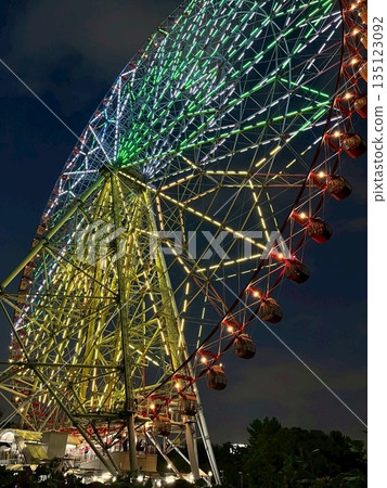Kasai Rinkai Park night view and Ferris wheel 135123092