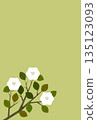 White camellia flower card 135123093