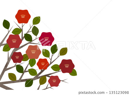 Camellia flower card material 135123098