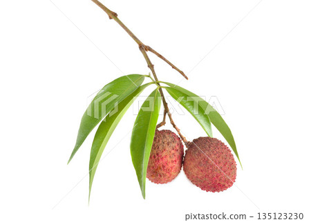 Lychee with leaves isolated on white background. 135123230