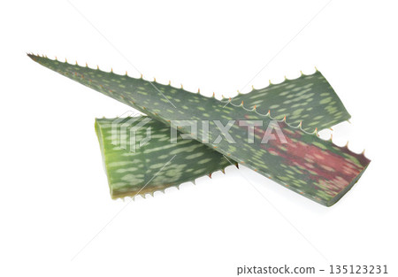 Aloe Vera leaf isolated on white background. Aloe Vera leaf isolated on white background. 135123231