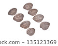 cockles seafood on white background 135123369