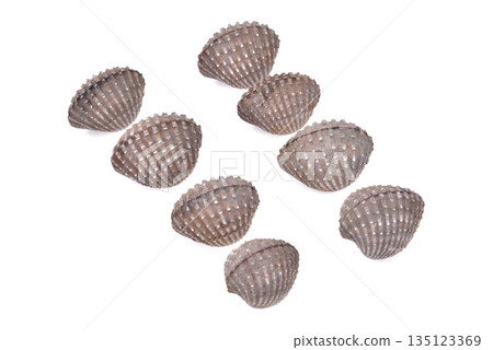 cockles seafood on white background 135123369