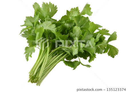 Celery isolated on white background 135123374