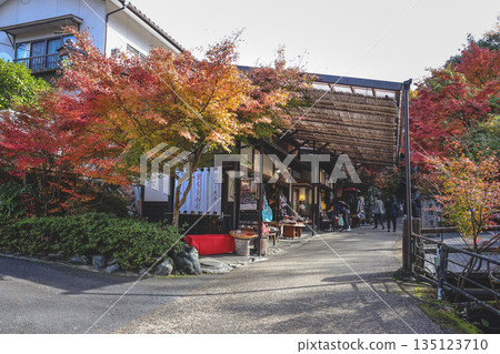 Nov 23 2025 Traditional Lifestyle in Scenic Ohara Countryside Kyoto 135123710