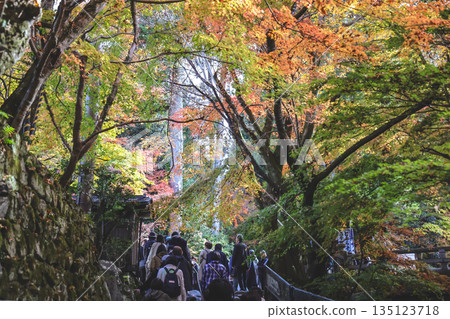 Nov 23 2025 Traditional Lifestyle in Scenic Ohara Countryside Kyoto 135123718