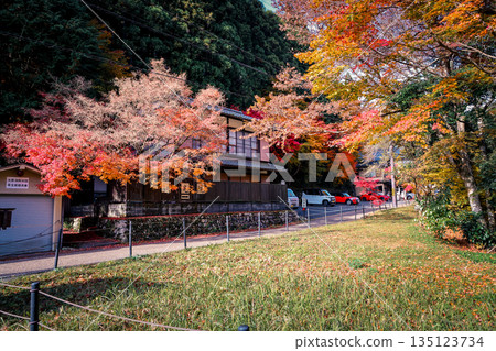 Nov 23 2025 Scenic Ohara Countryside Landscape in Rural Kyoto 135123734