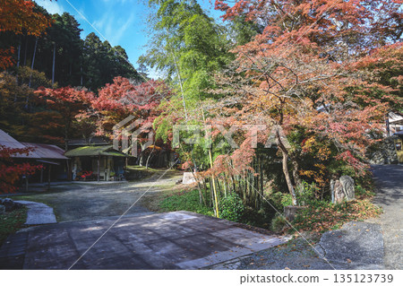 Nov 23 2025 Traditional Lifestyle in Scenic Ohara Countryside Kyoto 135123739