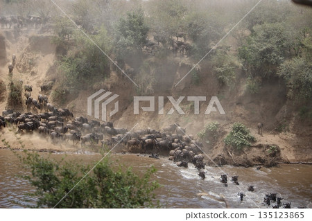 穿越努爾河 135123865