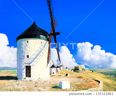 Beautiful windmill landscape in La Mancha 135123961