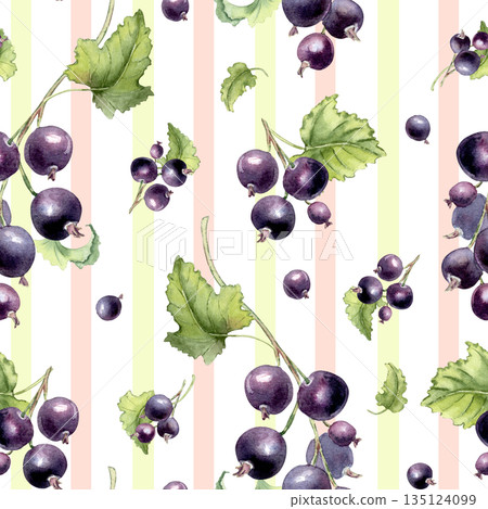 Botanical fruit on striped watercolor seamless pattern. Natural floral ornament with dark blue berries on white. Black currant berries and leaves hand drawn. Summer repeat for textile or packaging. Botanical fruit on striped watercolor seamless pattern. Natural floral ornament with dark blue berries on white. Black currant berries and leaves hand drawn. Summer repeat for textile or packaging. 135124099